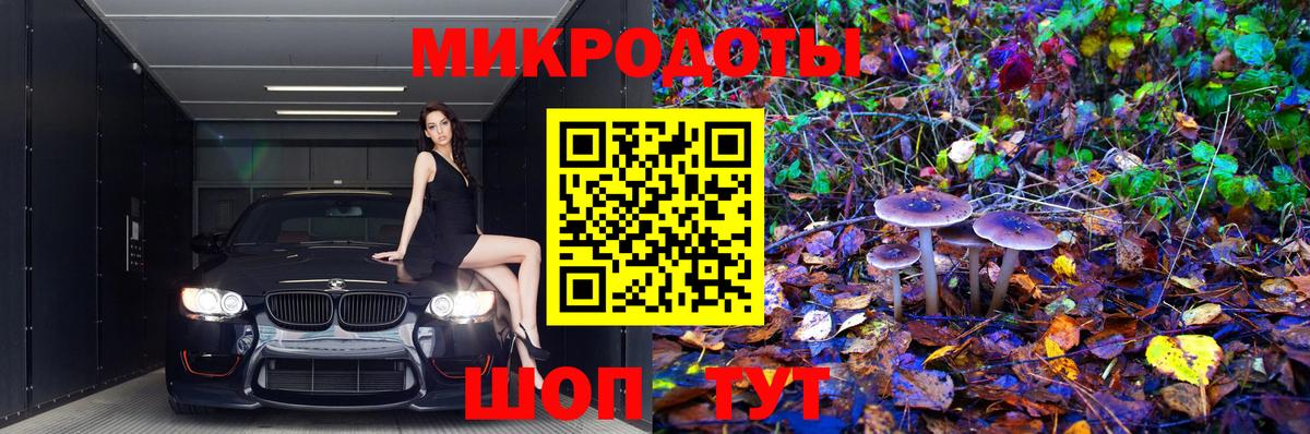 Галлюциногенные грибы Psilocybine cubensis  Вход с VPN  Всеволожск 