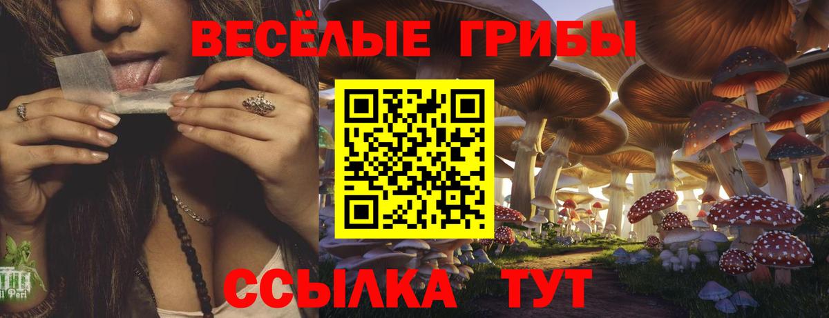 Псилоцибиновые грибы MAGIC MUSHROOMS Всеволожск